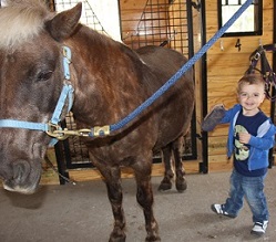 Petting Zoo Farm